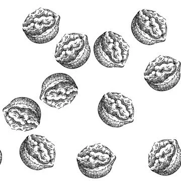 Seamless pattern food walnut sketch hand drawn イラスト素材