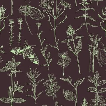 Seamless pattern with forest and meadow plants, flowers and moths. Vector i.. Illustrazione stock