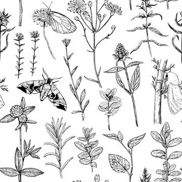 Seamless pattern with forest and meadow plants, flowers and moths. Vector i.. Illustrazione stock