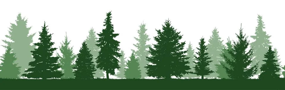 Seamless pattern of forest fir trees silhouette. Coniferous green spruce. Vec Illustrazione stock