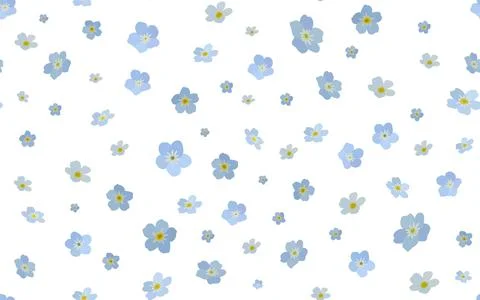 Seamless pattern with forget-me-not flowers, delicate Myosotis flowers on a w イラスト素材
