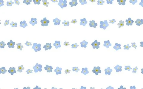 Seamless pattern with forget-me-nots, lines from Myosotis flowers on a white Stock Illustration