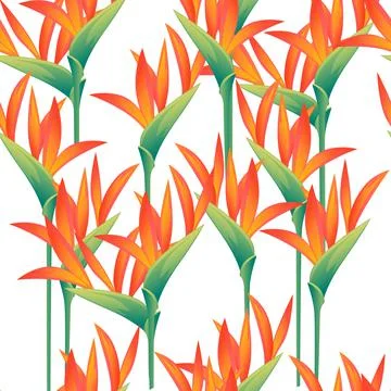 Seamless pattern of four decorative flowers Bird of Paradise floral element for Stock Illustration