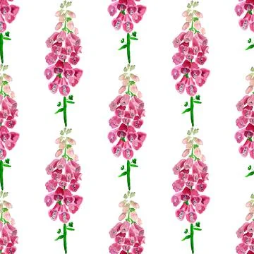 Seamless pattern with  foxglove flower Stock Illustration