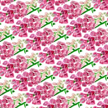 Seamless pattern with  foxglove flower Stock Illustration