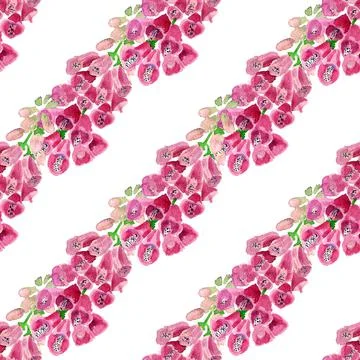 Seamless pattern with  foxglove flower Stock Illustration
