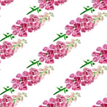 Seamless pattern with  foxglove flower Stock Illustration