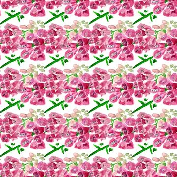 Seamless pattern with  foxglove flower Stock Illustration