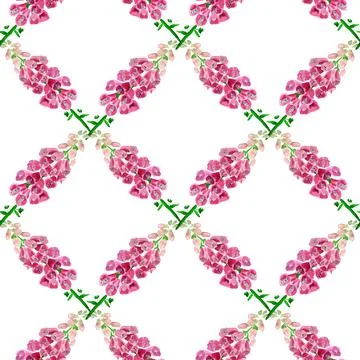 Seamless pattern with  foxglove flower Stock Illustration