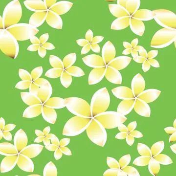 Seamless pattern with frangipani flowers Stock Illustration