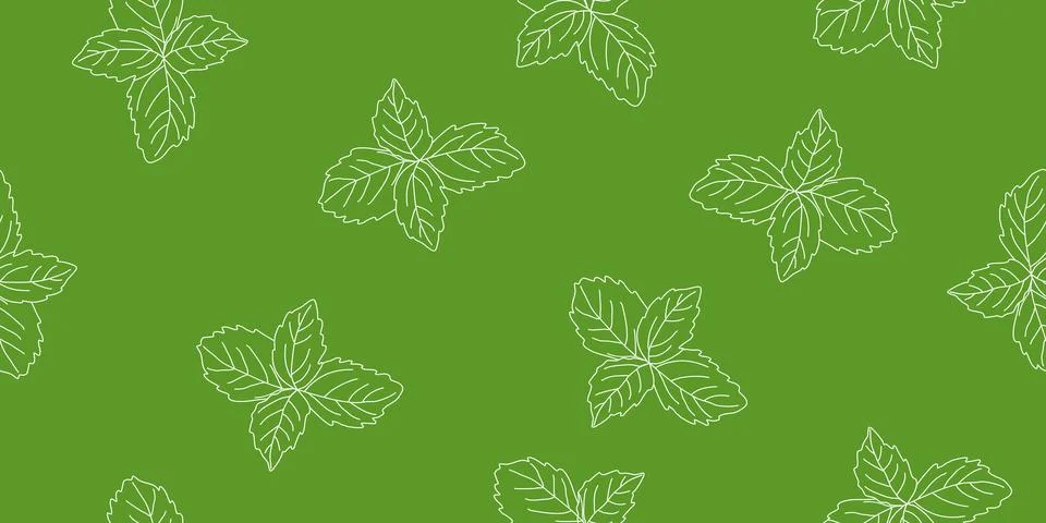 Seamless pattern with fresh basil leaves outline on green background, vector Stock Illustration