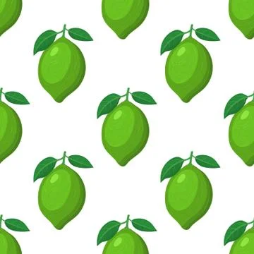 Seamless pattern with fresh bright exotic whole lime fruit on white backgroun Stock Illustration