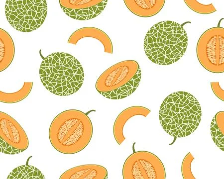 Seamless pattern of fresh cantaloupe melon isolated on white background - Vector Illustrazione stock