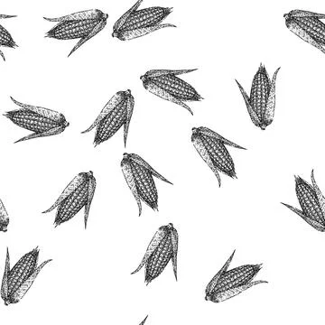 Seamless pattern fresh corn sketch hand drawn Stock Illustration