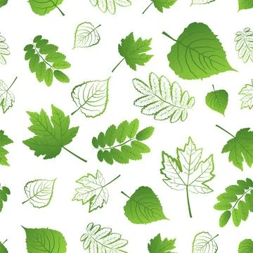 Seamless pattern of fresh different juicy green leaves on a white background Stock Illustration