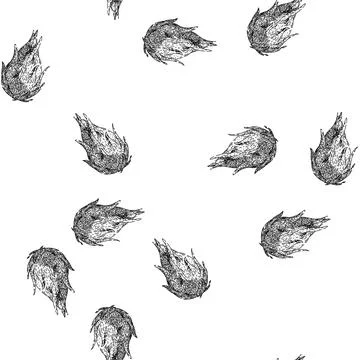 Seamless pattern fresh dragon fruit sketch hand drawn Stock Illustration