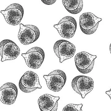 Seamless pattern fresh fig sketch hand drawn Stock Illustration