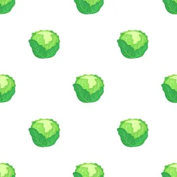 Seamless pattern with fresh green cabbage isolated on white background. Vector. Illustrazione stock