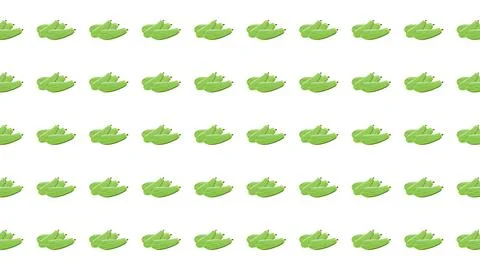 Seamless Pattern of Fresh Green Chayote Squash Isolated on White Background.. Stock Illustration