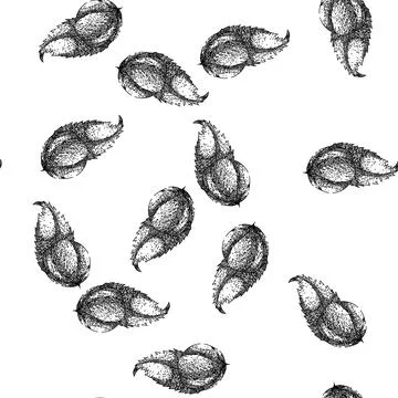 Seamless pattern fresh guarana fruit sketch hand drawn Stock Illustration