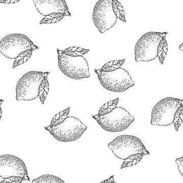 Seamless pattern fresh lemon sketch hand drawn Stockillustratie