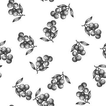 Seamless pattern fresh longan fruit sketch hand drawn Stock Illustration