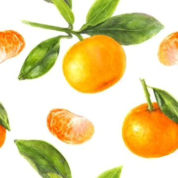 Seamless pattern with fresh mandarines and leaves on a white background, perfect Stock Illustration