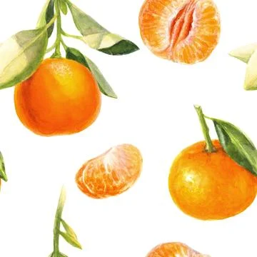 Seamless pattern with fresh mandarines and leaves on a white background, perfect Stock Illustration