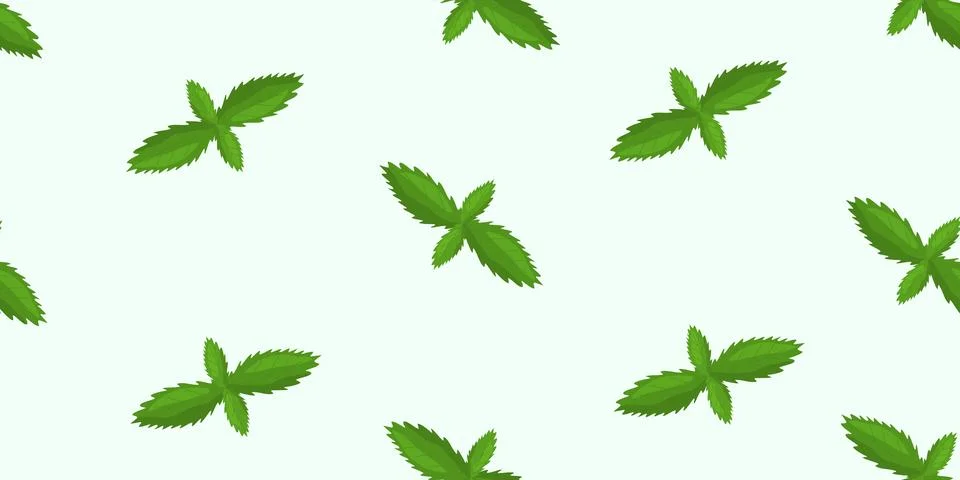 Seamless pattern with fresh mint leaves on light green background, vector Stock Illustration