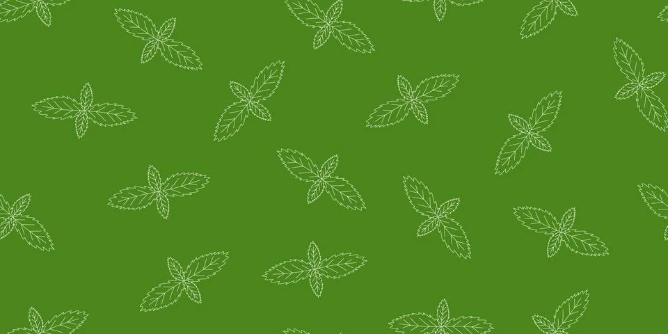 Seamless pattern with fresh mint leaves outline on green background, vector Stock Illustration