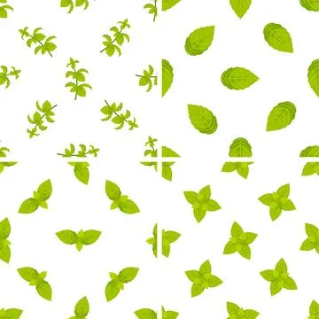 Seamless pattern with fresh mint leaves and sprigs on white background Stock Illustration