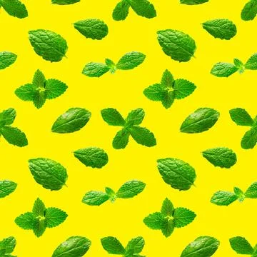 Seamless pattern of fresh mint leaves on yellow background Stock Photos