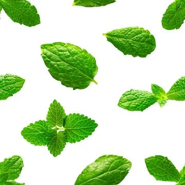 Seamless pattern of fresh mint leaves on white background Foto stock