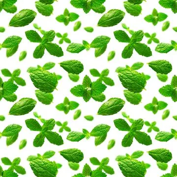 Seamless pattern of fresh mint leaves on white background Foto stock