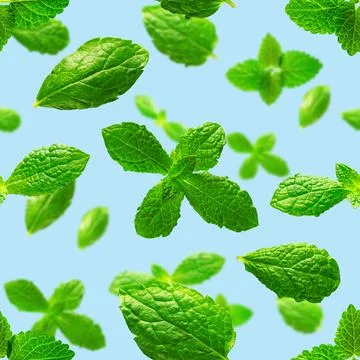 Seamless pattern of fresh mint leaves on blue background Foto stock