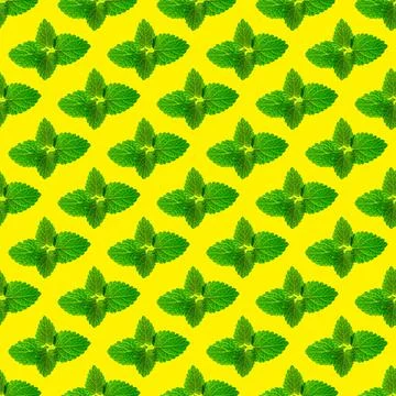 Seamless pattern of fresh mint leaves on yellow background Stock Photos