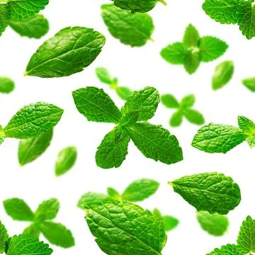 Seamless pattern of fresh mint leaves on white background Foto stock