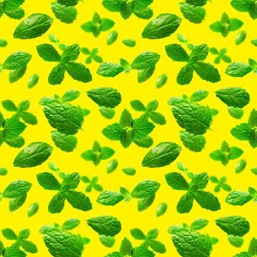 Seamless pattern of fresh mint leaves on yellow background Foto stock