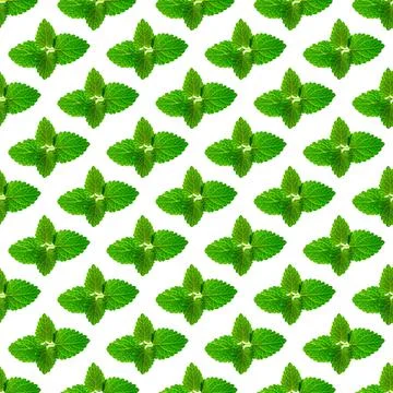 Seamless pattern of fresh mint leaves on white background Foto stock