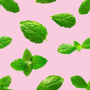 Seamless pattern of fresh mint leaves on pink background Foto stock