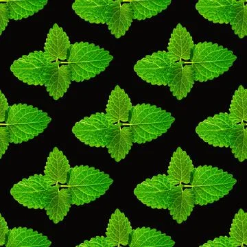 Seamless pattern of fresh mint leaves on black background Foto stock