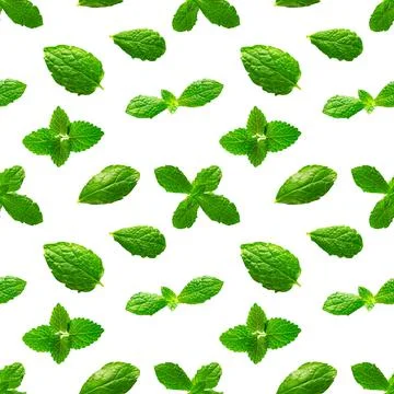 Seamless pattern of fresh mint leaves on white background Stock Photos
