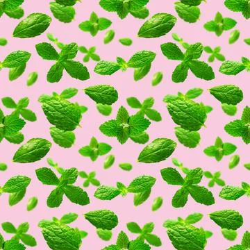 Seamless pattern of fresh mint leaves on pink background Foto stock