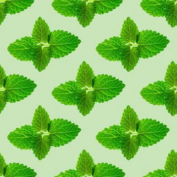 Seamless pattern of fresh mint leaves on green background Foto stock