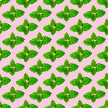 Seamless pattern of fresh mint leaves on pink background Foto stock