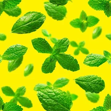 Seamless pattern of fresh mint leaves on yellow background Stock Photos