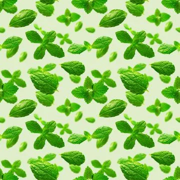 Seamless pattern of fresh mint leaves on green background Stock Photos