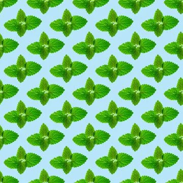 Seamless pattern of fresh mint leaves on blue background Stock Photos