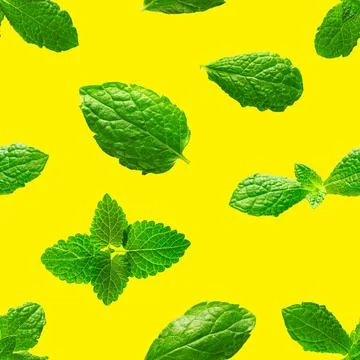 Seamless pattern of fresh mint leaves on yellow background Stock Photos