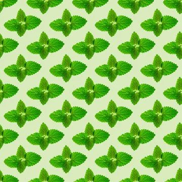 Seamless pattern of fresh mint leaves on green background Foto stock